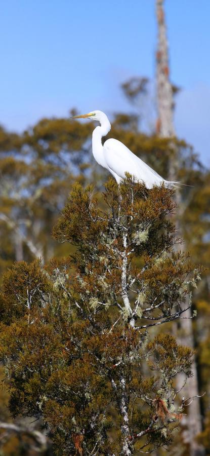 Scenic Waterways Retreat Bed and Breakfast Hokitika Buitenkant foto